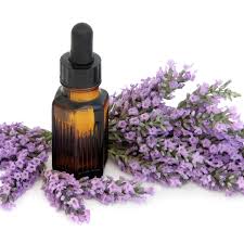Lavender Oil