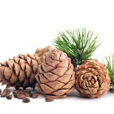 Cedarwood Oil