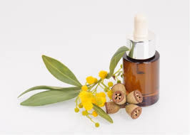 Eucalyptus Oil