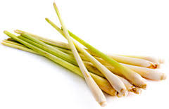 Lemongrass Oil