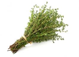 Thyme Oil